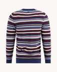 A Fish Named Fred Edinburgh Stripe Knit | Multi 071