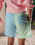 A Fish Named Fred Swim Short | Colourblock Stripe