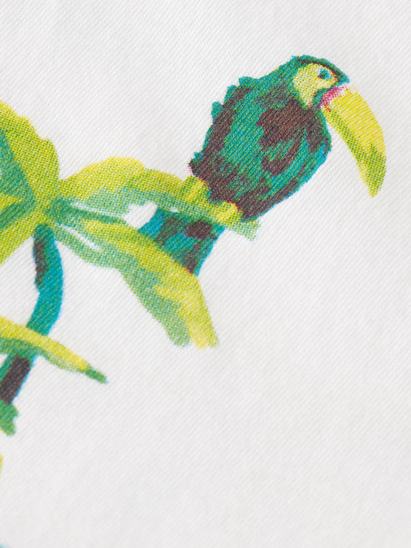 Scotch & Soda You Can Toucan T Shirt | White