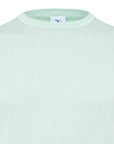 R2 Amsterdam Cotton/Modal T-Shirt | Mint Stripe
