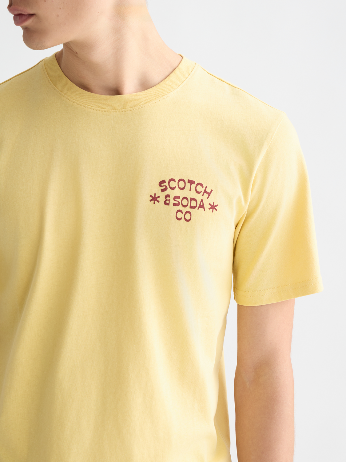 Scotch &amp; Soda Logo Print T-Shirt | Raffia
