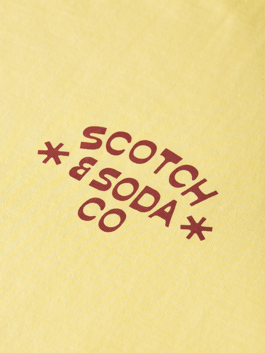 Scotch &amp; Soda Logo Print T-Shirt | Raffia