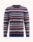 A Fish Named Fred Edinburgh Stripe Knit | Multi 071